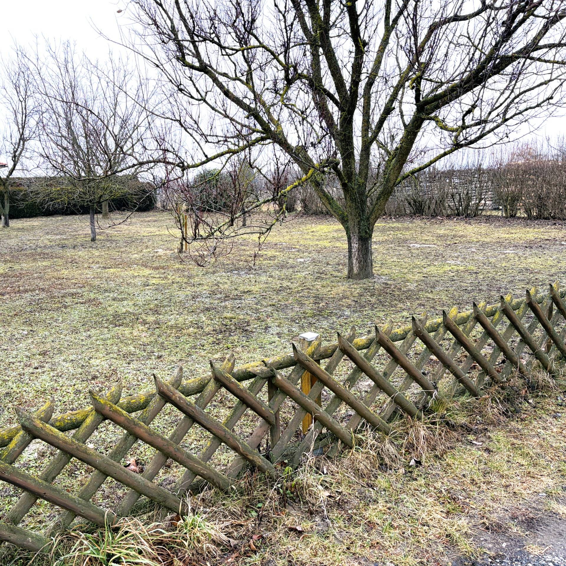 Baugrundstück in ruhiger Lage, Kittsee