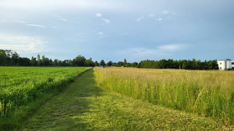 Baugrundstück in ruhiger Lage in Potzneusiedl