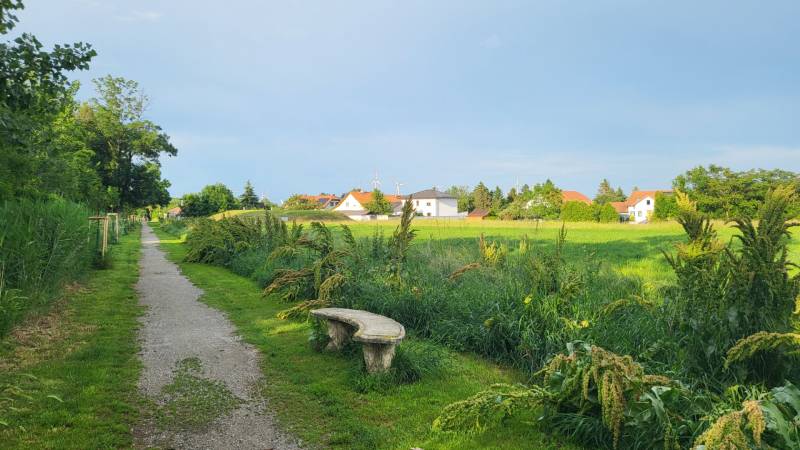 Baugrundstück in ruhiger Lage in Potzneusiedl