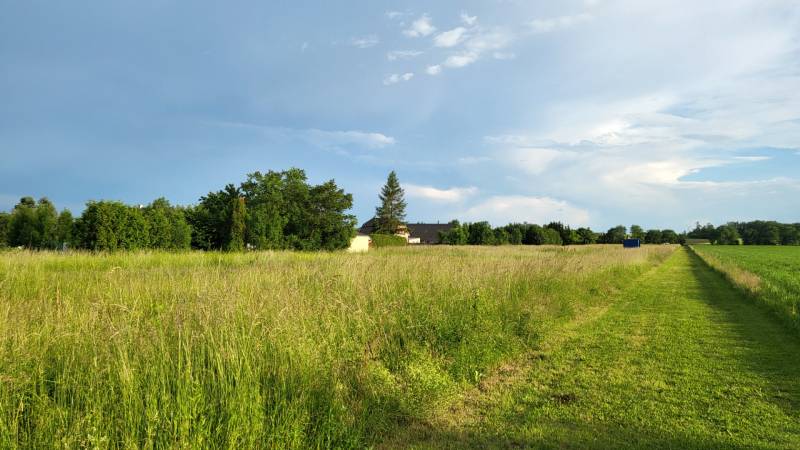 Baugrundstück in ruhiger Lage in Potzneusiedl