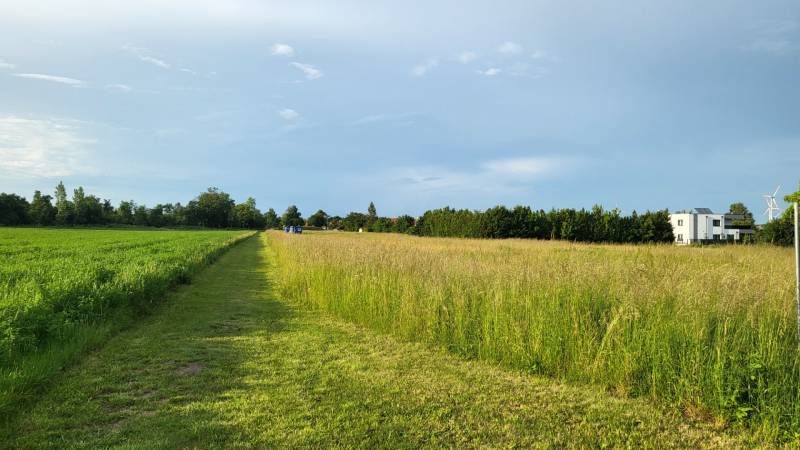 Baugrundstück in ruhiger Lage in Potzneusiedl