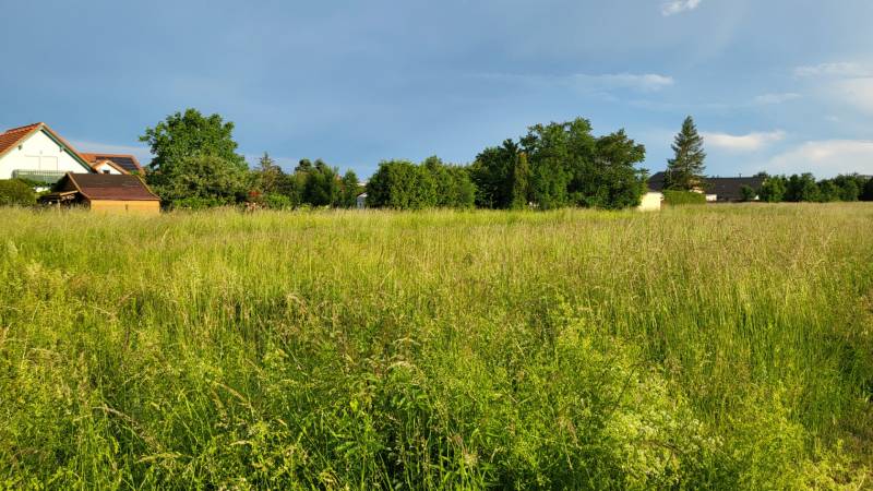 Baugrundstück in ruhiger Lage in Potzneusiedl