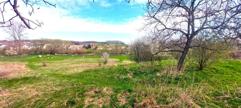 Kaufen Baugrund, Baugrund, Neusiedl am See, Österreich