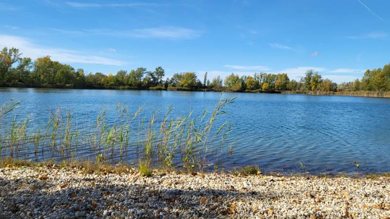 Bauträger aufgepasst: Bauland mit Teich 193.000 m2 in Hédervár