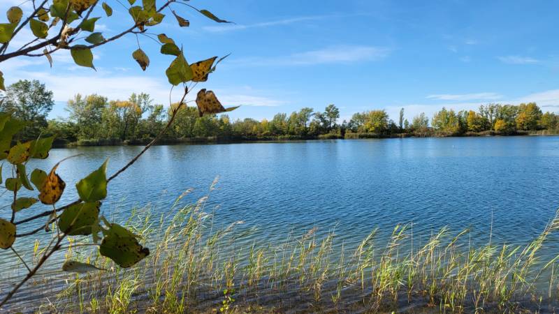 Bauträger aufgepasst: Bauland mit Teich 193.000 m2 in Hédervár