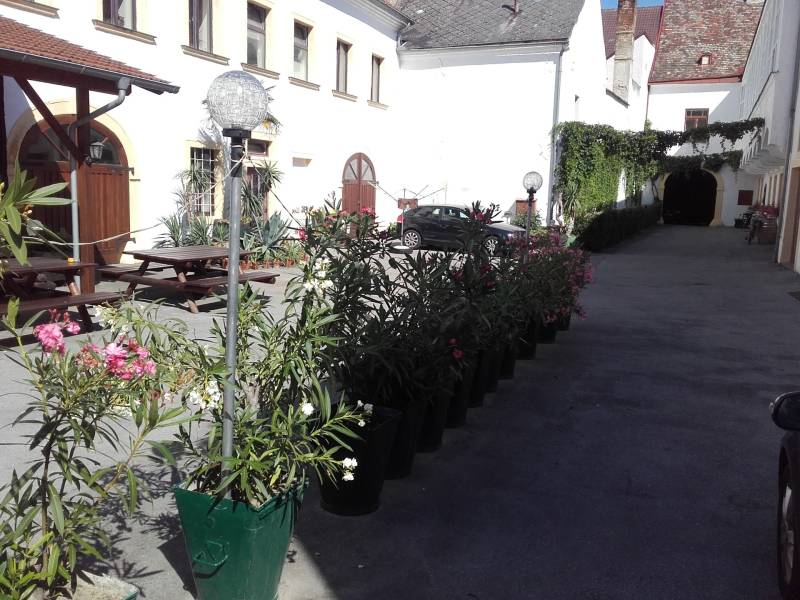 Räumlichkeiten im Zentrum von Hainburg zu vermieten,vielseitig nutzbar