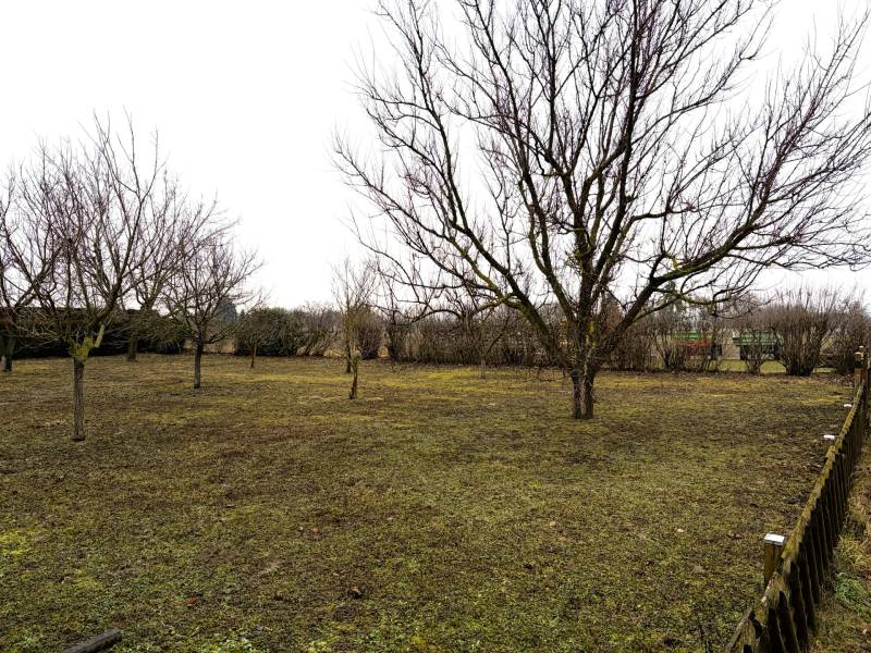 Baugrundstück in ruhiger Lage, Kittsee